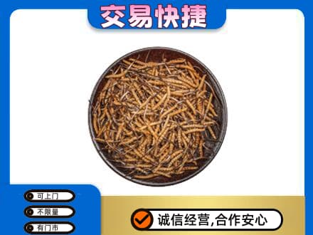 葫芦岛高价回收散虫草