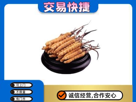 葫芦岛回收冬虫夏草多少钱每克